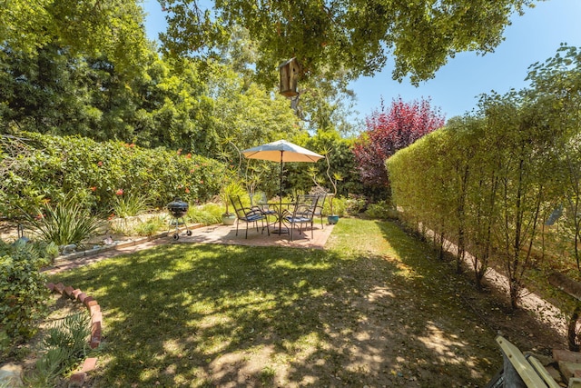 view of yard featuring a patio area