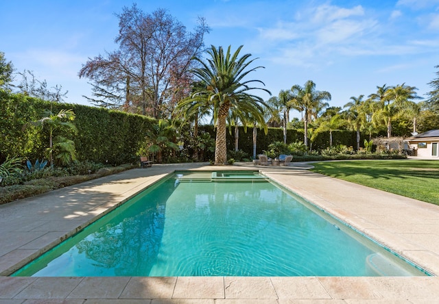 view of pool featuring a yard and a patio area