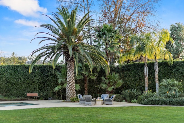 view of yard with a patio