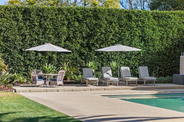 view of swimming pool featuring a patio