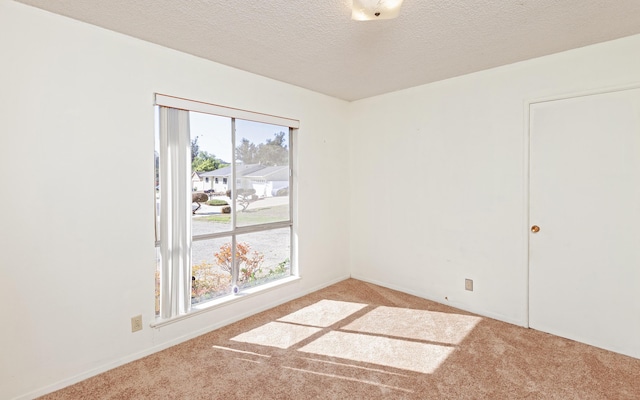 spare room featuring carpet and a textured ceiling