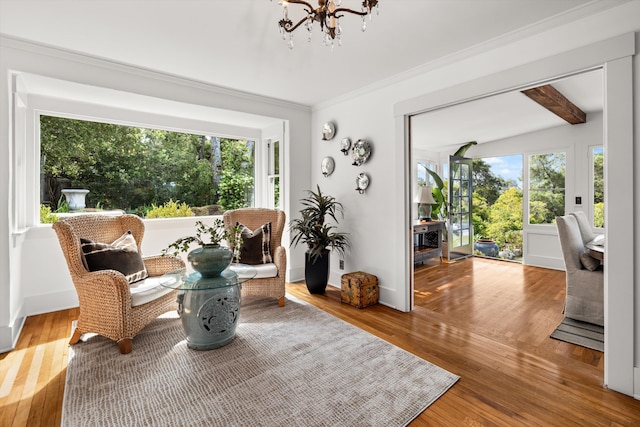 sitting room featuring hardwood / wood-style flooring, beam ceiling, and plenty of natural light