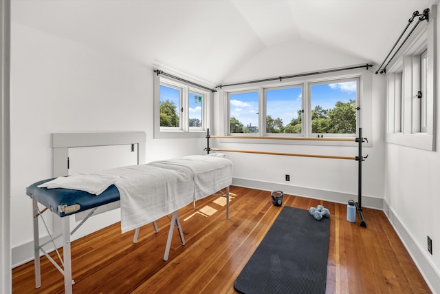 bedroom with hardwood / wood-style flooring and lofted ceiling