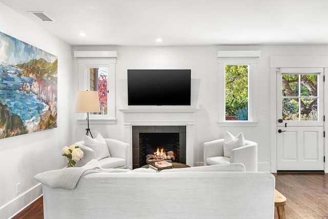 living room featuring dark wood-type flooring and a fireplace