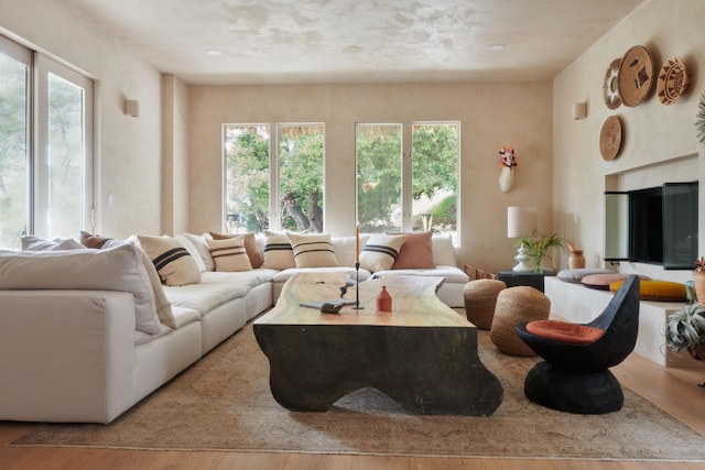 living room featuring a wealth of natural light and hardwood / wood-style floors