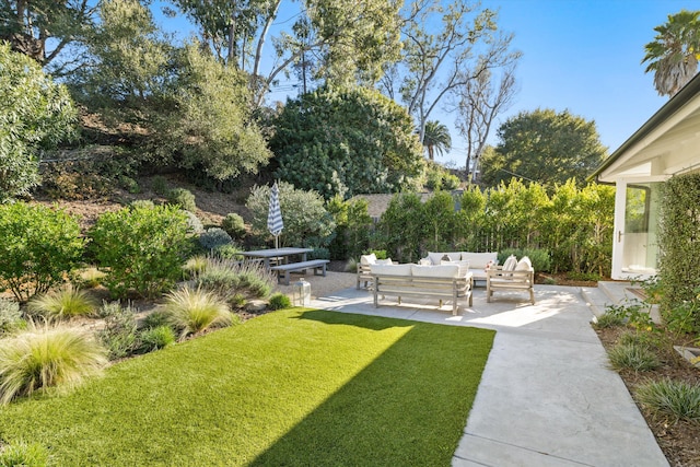 view of yard with a patio area and an outdoor living space