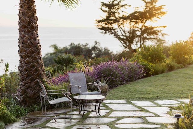 view of yard with a patio area and a water view