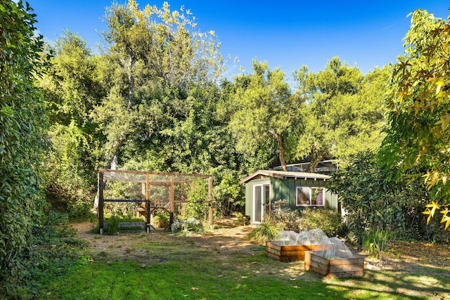 view of yard with an outbuilding