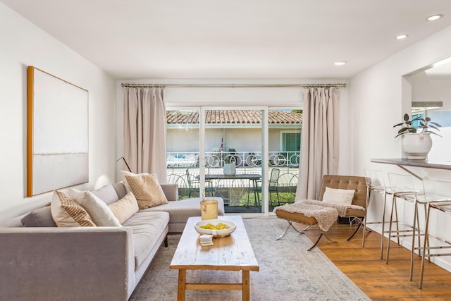 living room with hardwood / wood-style floors