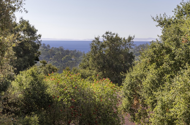 view of landscape