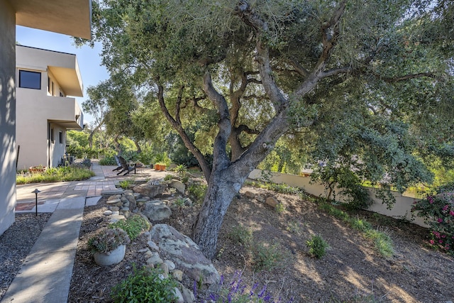 view of yard featuring a patio area