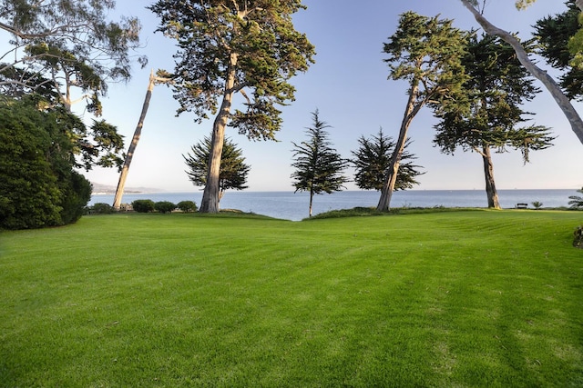 view of yard featuring a water view