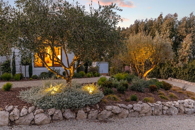 view of yard at dusk