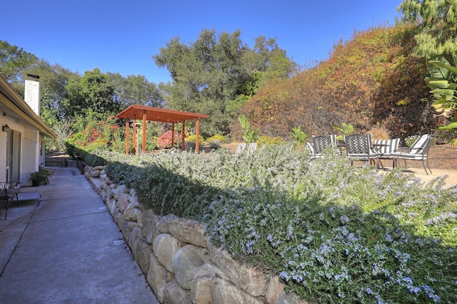 view of yard with a pergola and a patio area