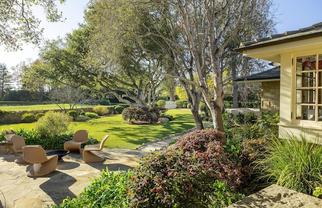 view of yard featuring a patio