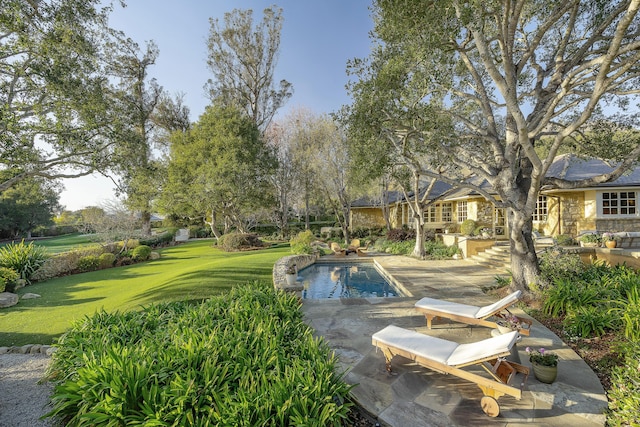 view of pool featuring a patio and a lawn