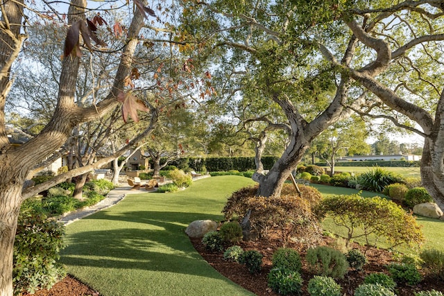 view of home's community featuring a lawn