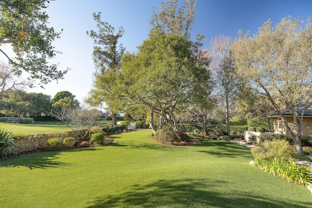 view of home's community featuring a lawn