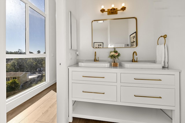 bathroom with hardwood / wood-style flooring and vanity