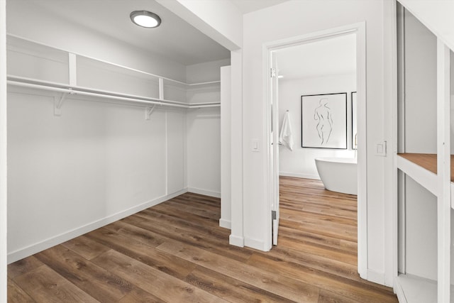 spacious closet with dark wood-type flooring