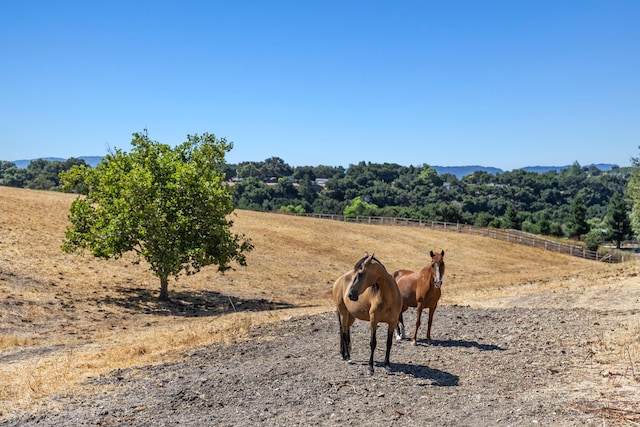 view of stable featuring a rural view