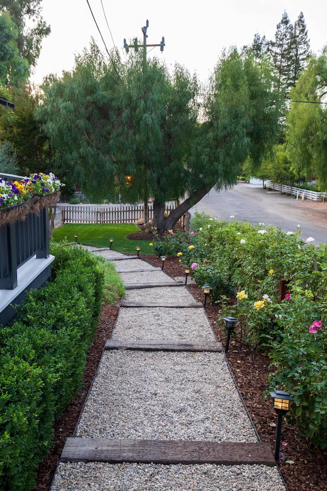 view of yard with a patio