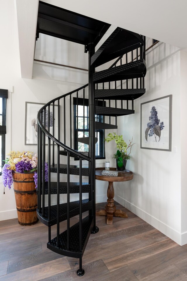 stairway with hardwood / wood-style floors