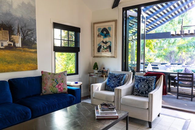 living room with lofted ceiling