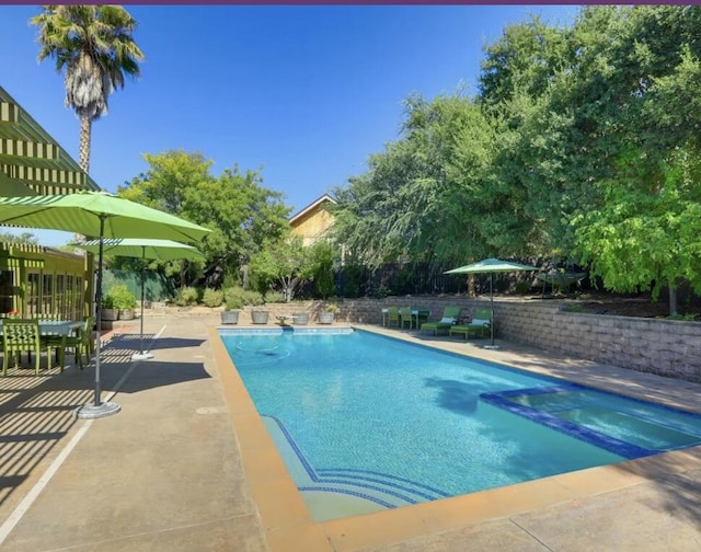 view of swimming pool with a patio