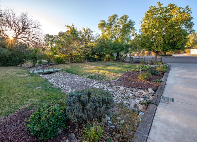 view of yard at dusk