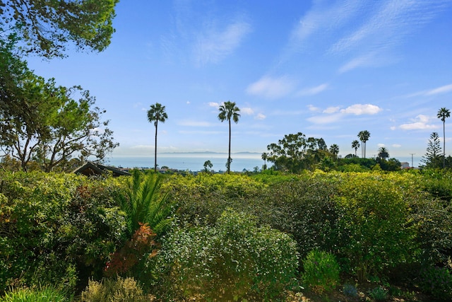 view of nature with a water view