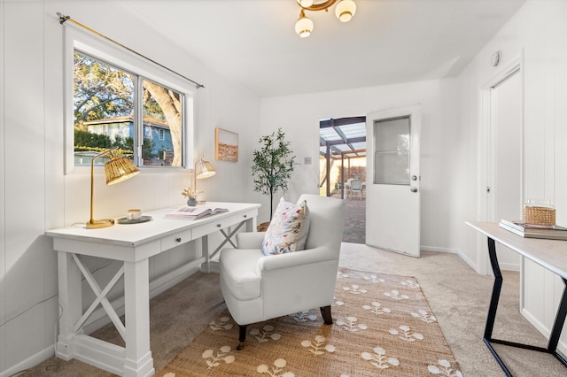 carpeted office space with plenty of natural light