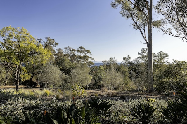 view of landscape