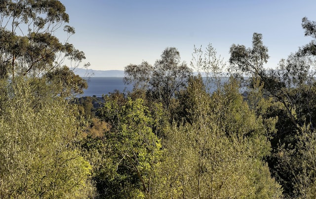 view of landscape featuring a mountain view