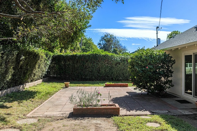 view of yard with a patio area and a fenced backyard