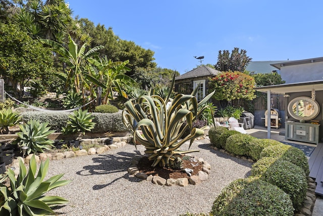 view of yard featuring a patio area