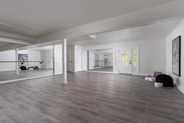 basement with hardwood / wood-style flooring