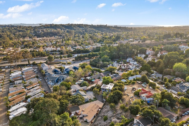 drone / aerial view