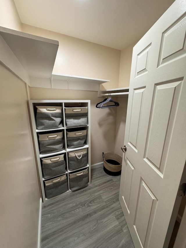 walk in closet featuring dark hardwood / wood-style flooring