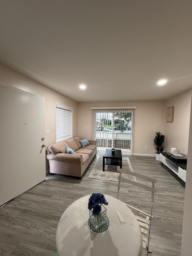 living room with wood-type flooring