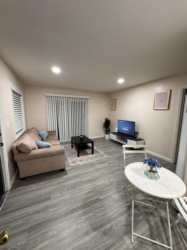 living room with wood-type flooring