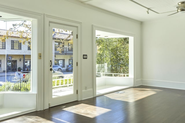 entryway with crown molding, dark hardwood / wood-style floors, and track lighting