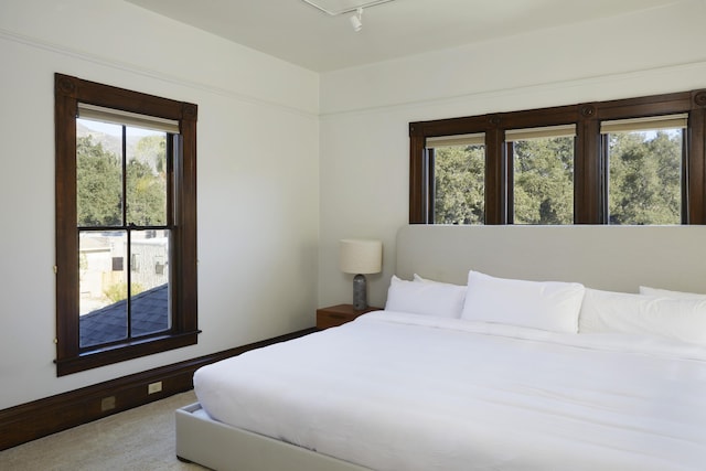 carpeted bedroom with track lighting