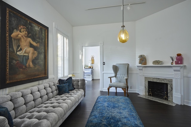 living room featuring dark hardwood / wood-style flooring, a fireplace, and track lighting