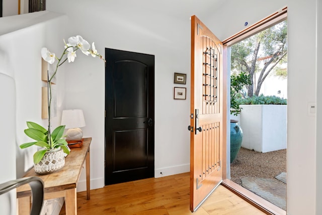 entrance foyer with wood-type flooring