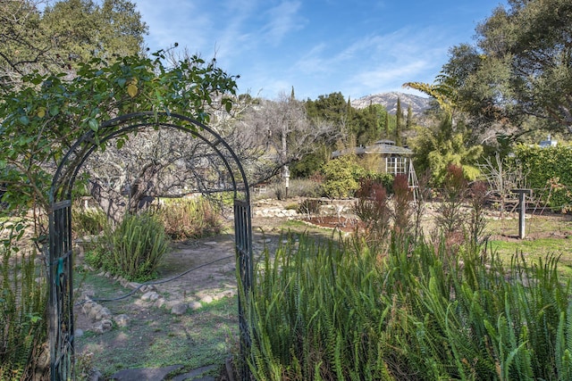 view of yard featuring a mountain view