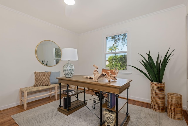 office with crown molding and hardwood / wood-style flooring