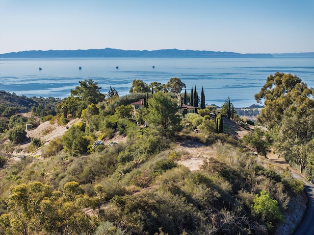 bird's eye view featuring a water and mountain view