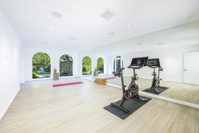 workout room with a wealth of natural light and light hardwood / wood-style floors