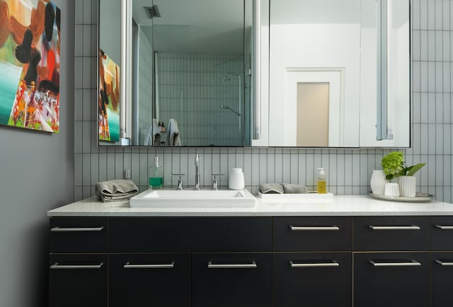 bathroom featuring tasteful backsplash and vanity